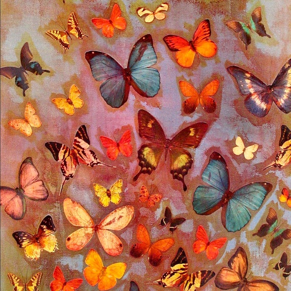 Meet your Posher, Bradie - Picture 1 of 1